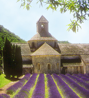 Abbaye de Sénanque