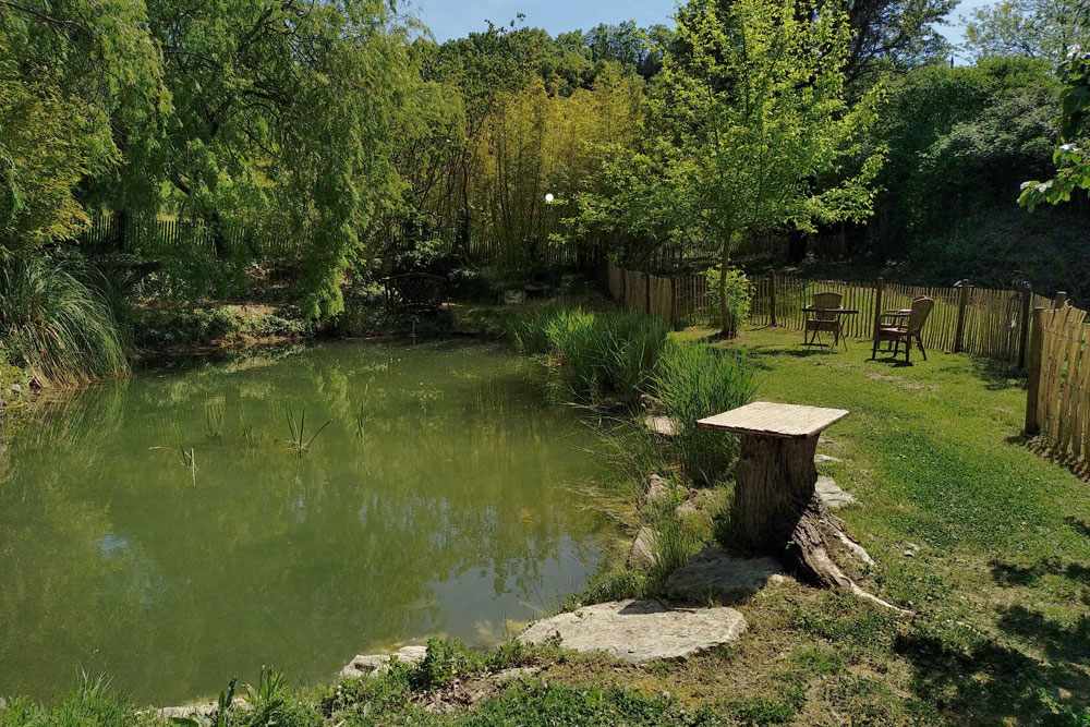 Étang aménagé au cœur du parc