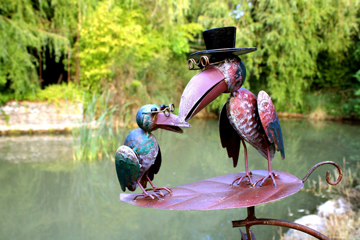 Oiseaux près de l'étang du parc