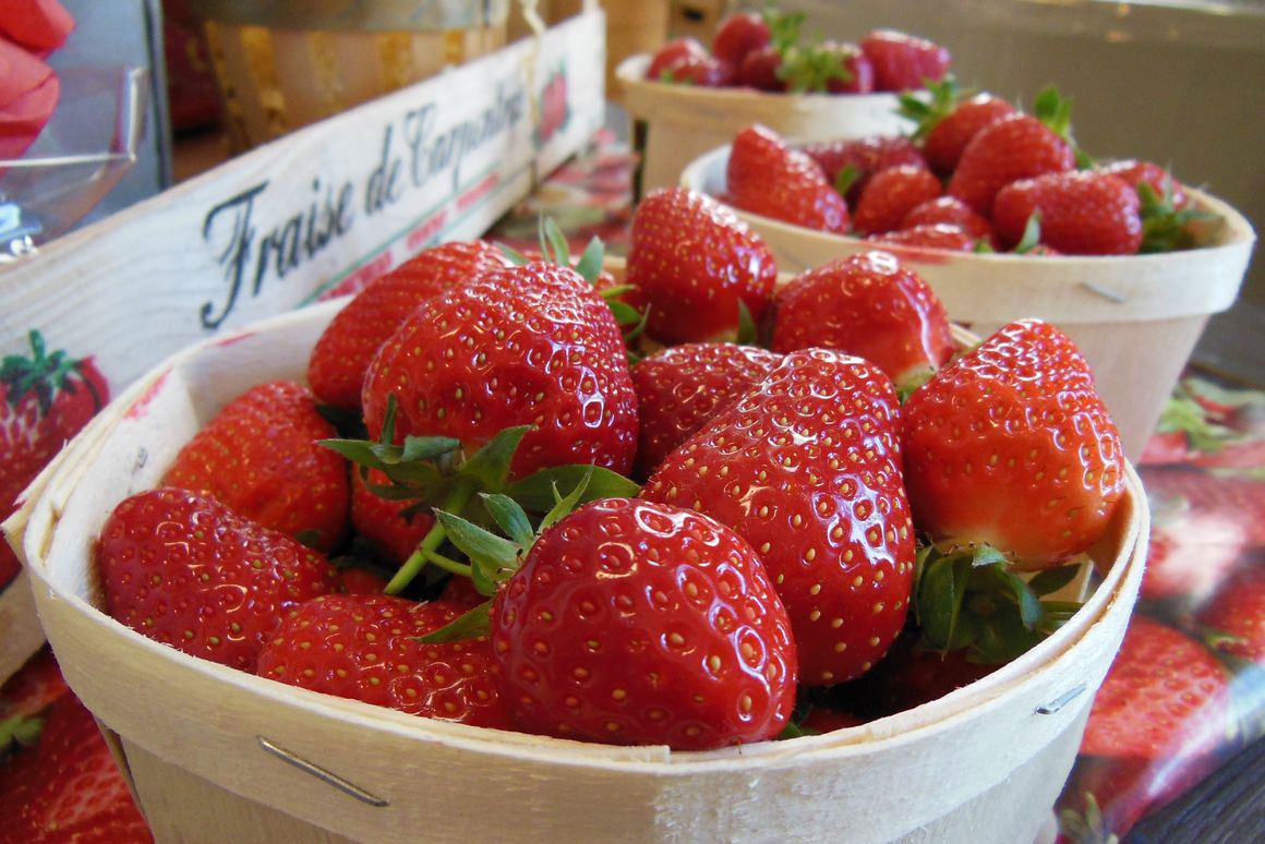 Fraises de Carpentras