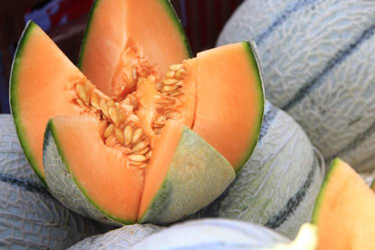Melon de Cavaillon
