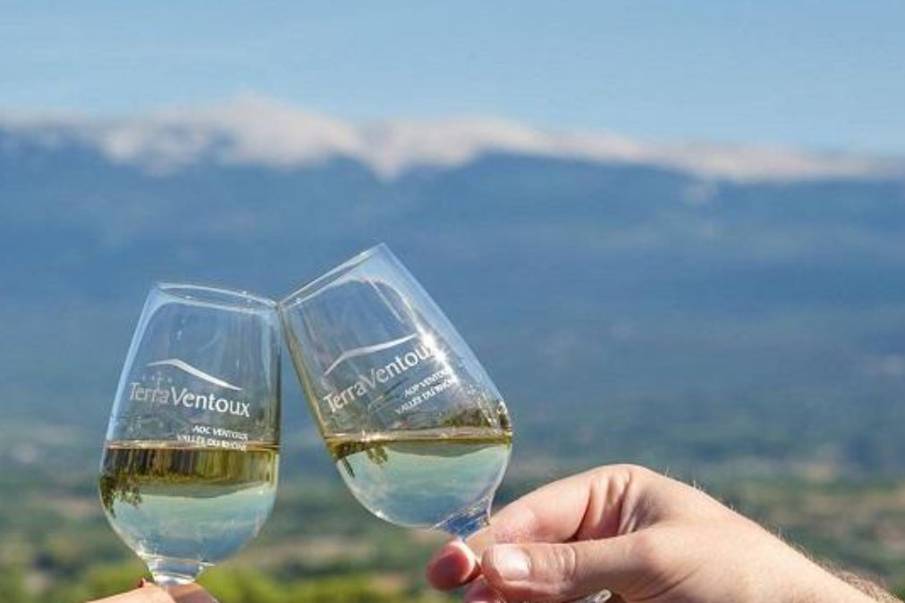 Vignoble Terra Ventoux