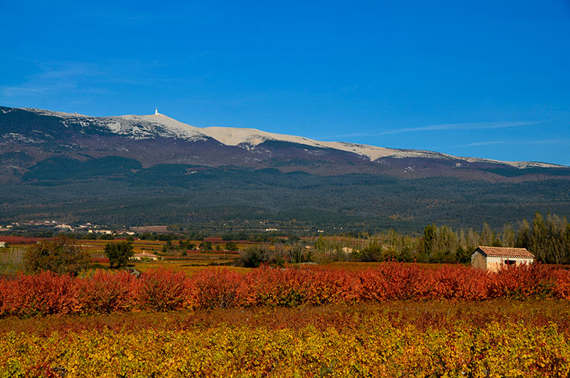 Paysage du Mont Ventoux, Géant de Provence